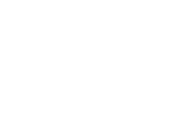 Wild Strategy